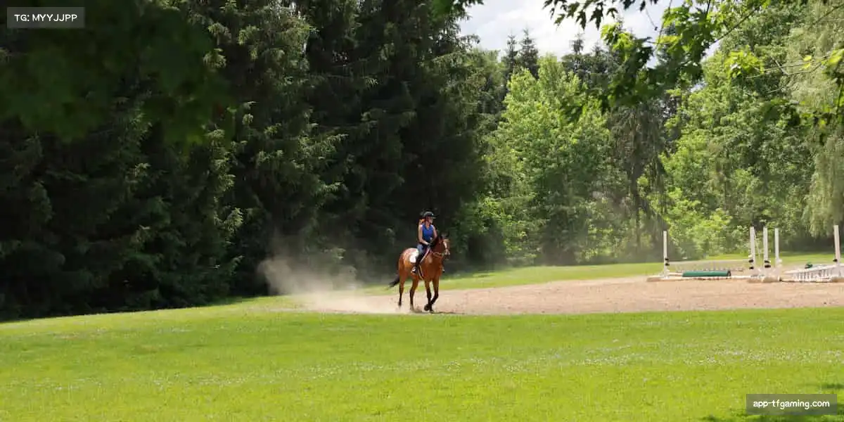 雷火电竞APP下载——创新是 DNA,品质是承诺!💡🌟